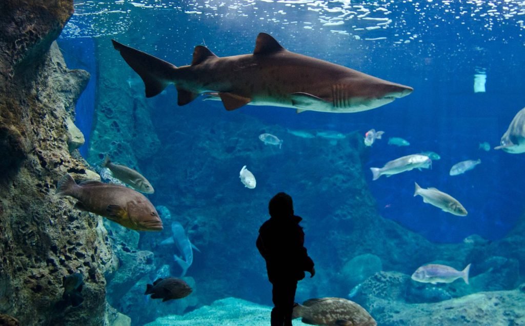 The Ultimate Guide to Family Activities in Crete